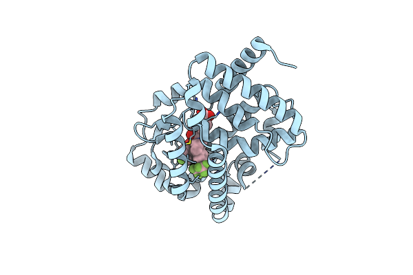 7JTM image