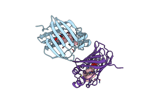 7JVG image