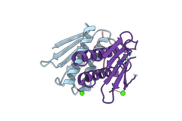 7JVS image