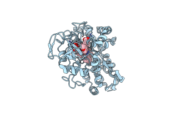 7JXB image