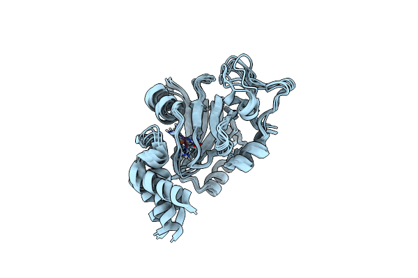 7JXG image