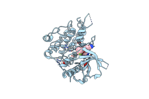 7JYR image