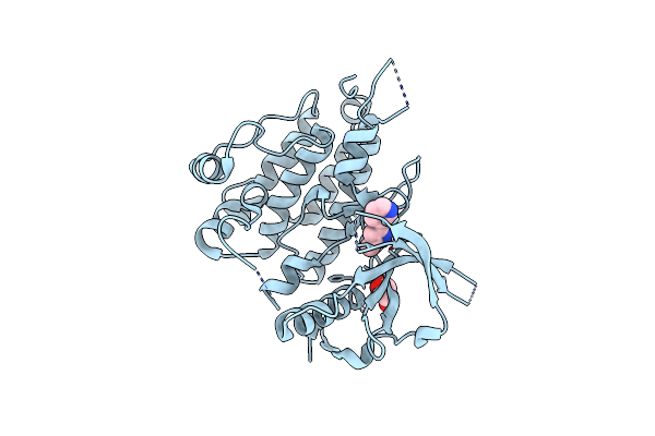 7JYT image