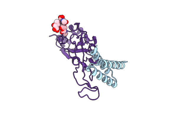 7JZM image