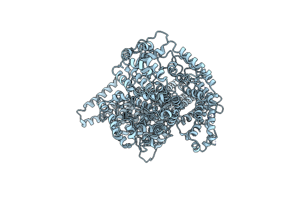 7K11 image