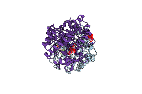 7K12 image