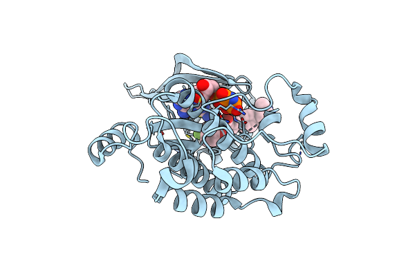 7K1I image