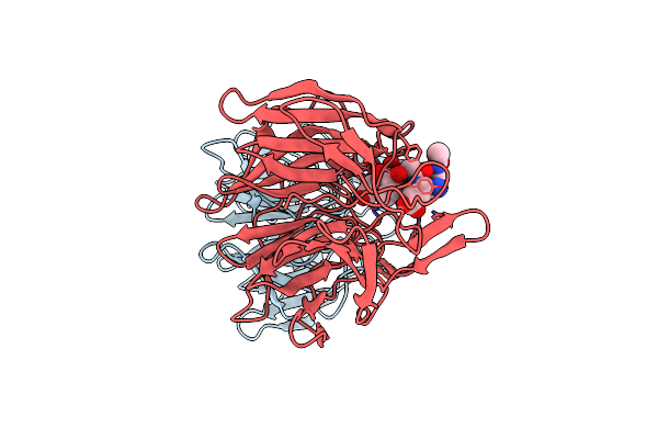 7K2D image
