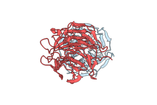 7K2L image