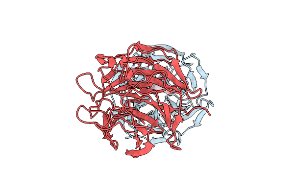 7K2M image