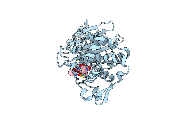 7K2W image