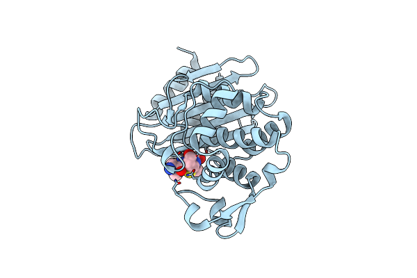 7K2Y image