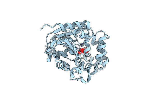 7K2Z image
