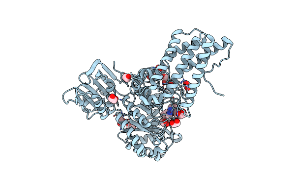 7K41 image