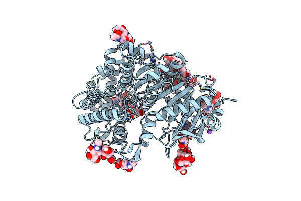 7K4O image