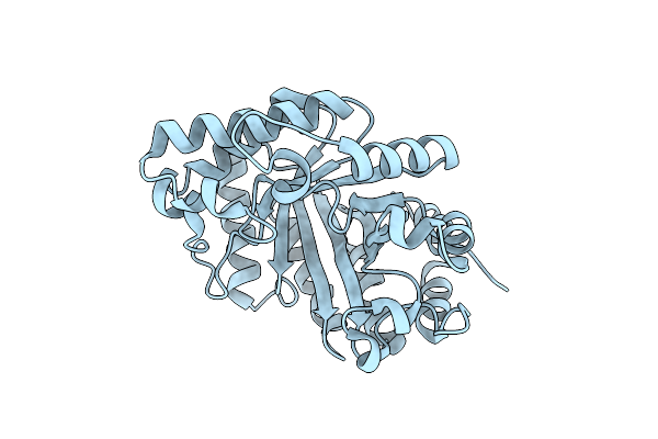 7K4T image