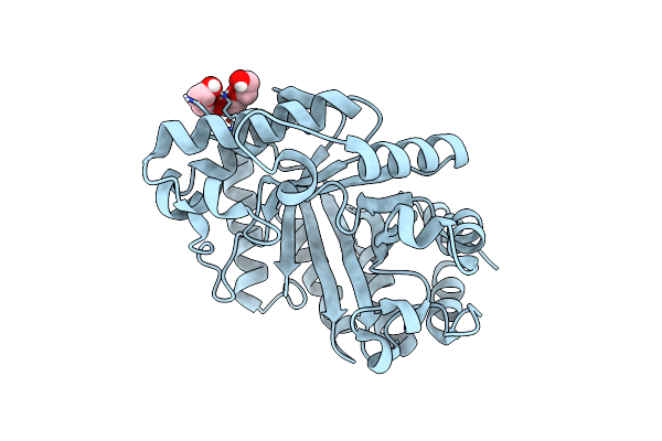 7K4V image