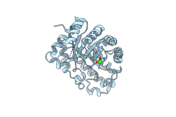 7K4W image