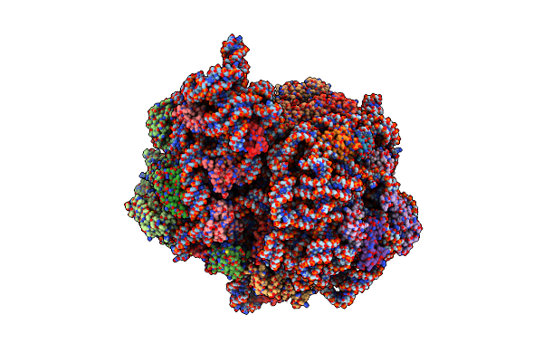 7K50 image