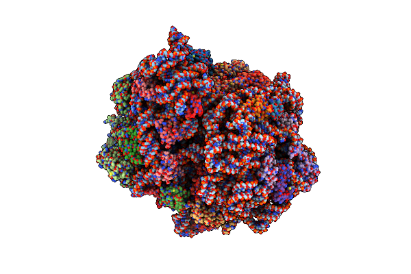 7K55 image