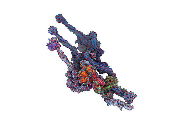 7K5B image