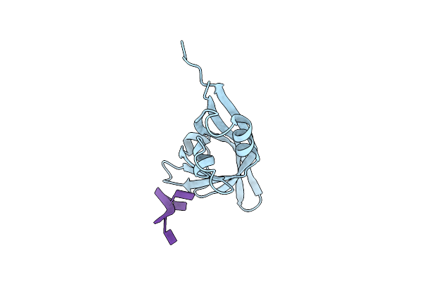 7K5D image