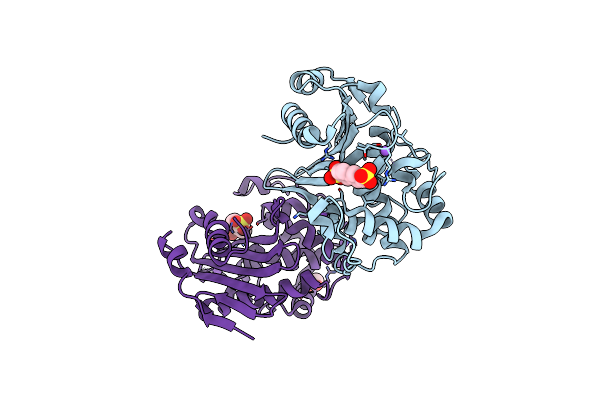 7K5V image