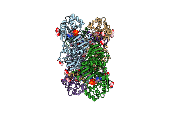 7K5Z image