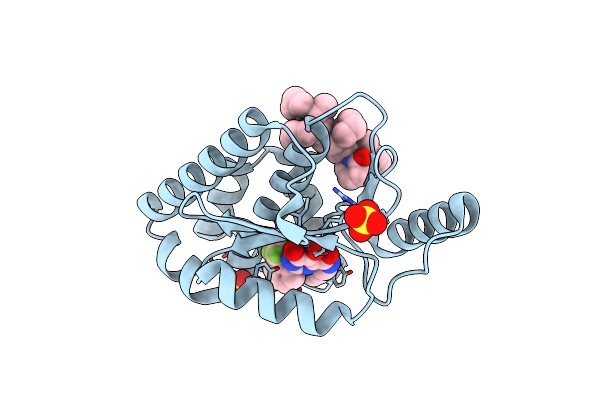 7K77 image