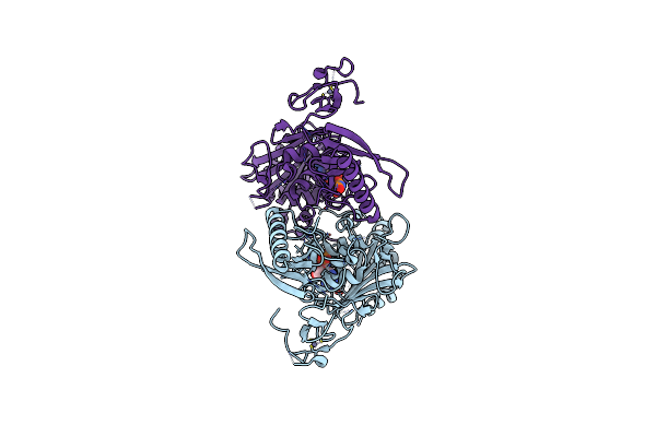 7K7T image