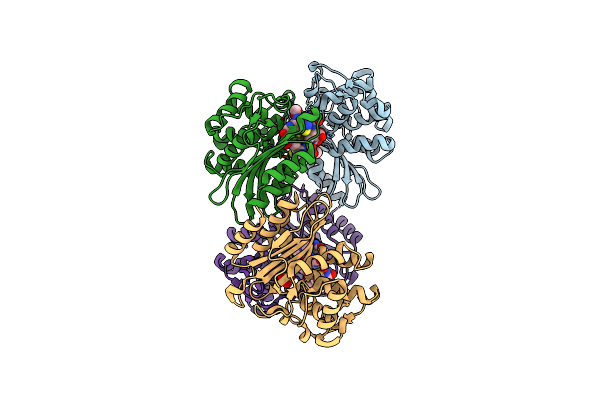 7K8H image