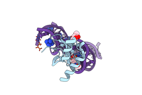 7K9D image