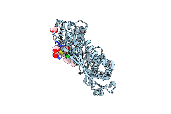 7KCC image