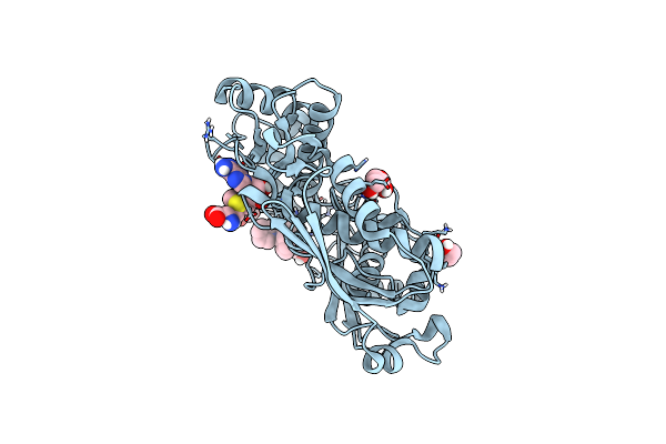 7KCF image