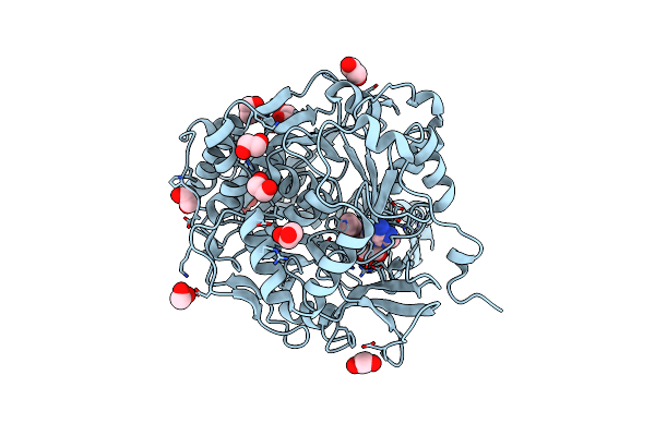 7KCP image