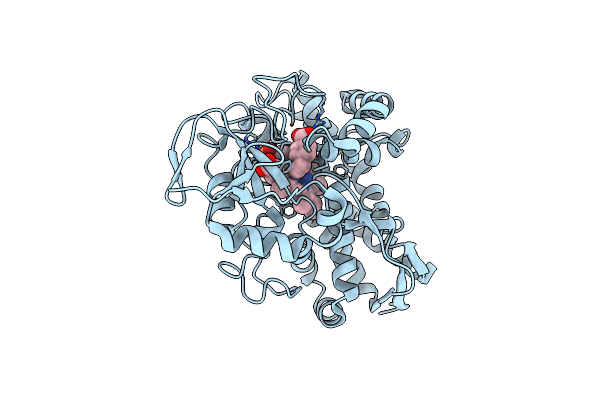 7KCS image