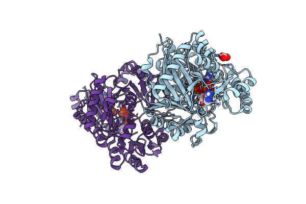 7KCT image