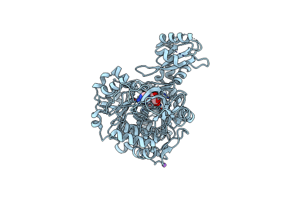 7KDS image