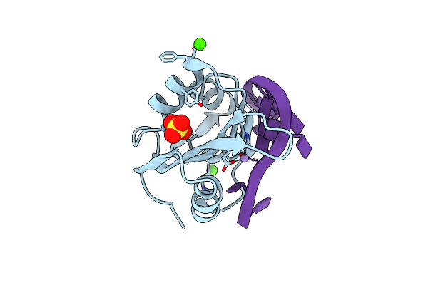 7KII image