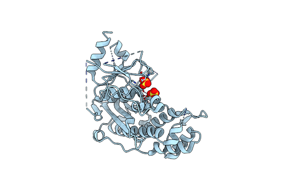 7KIO image