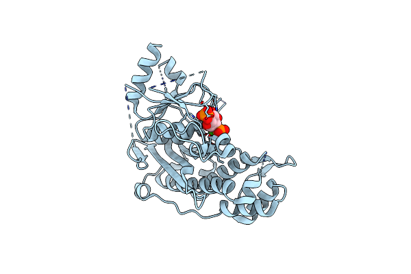 7KIR image