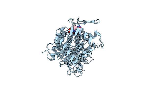7KIV image