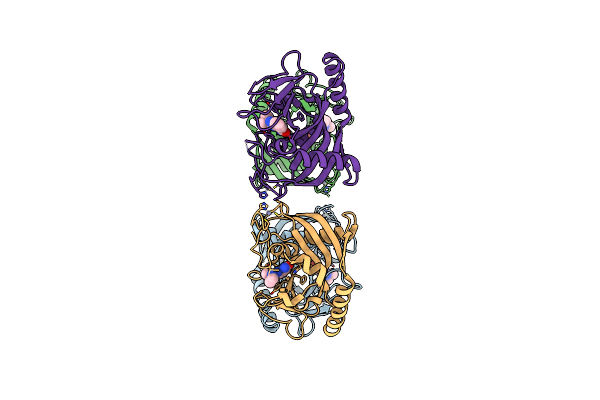 7KKQ image