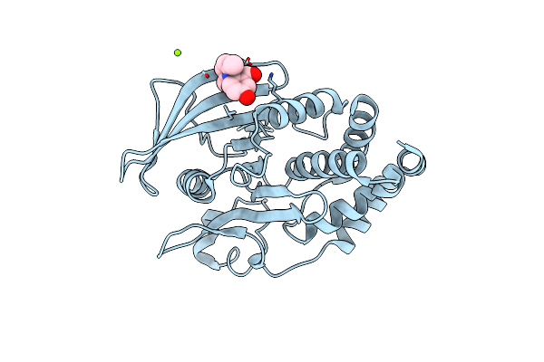 7KLX image