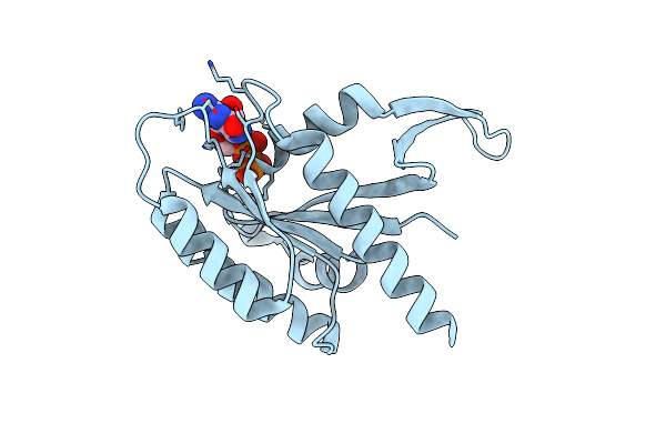 7KMR image