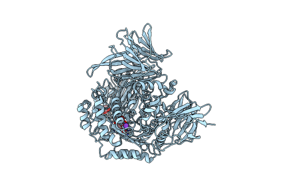 7KNC image