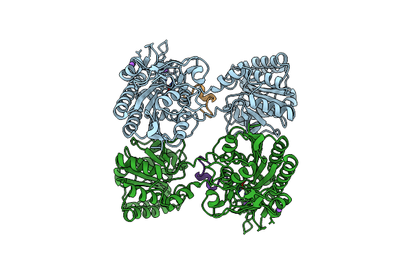 7KNG image