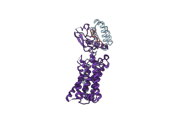 7KNU image