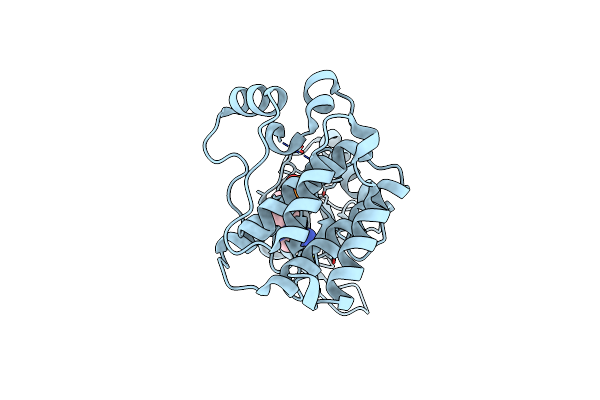 7KPM image