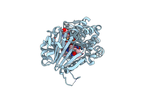 7KPT image